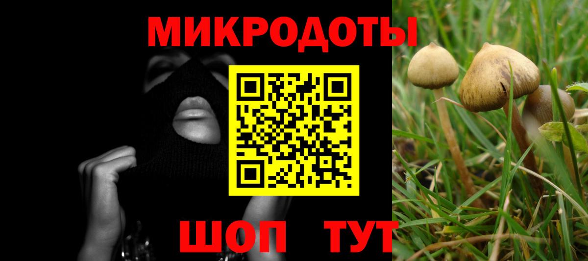 Псилоцибиновые грибы GOLDEN TEACHER  где продают наркотики  Вход с VPN  Ульяновск  Псилоцибиновые грибы мухоморы 